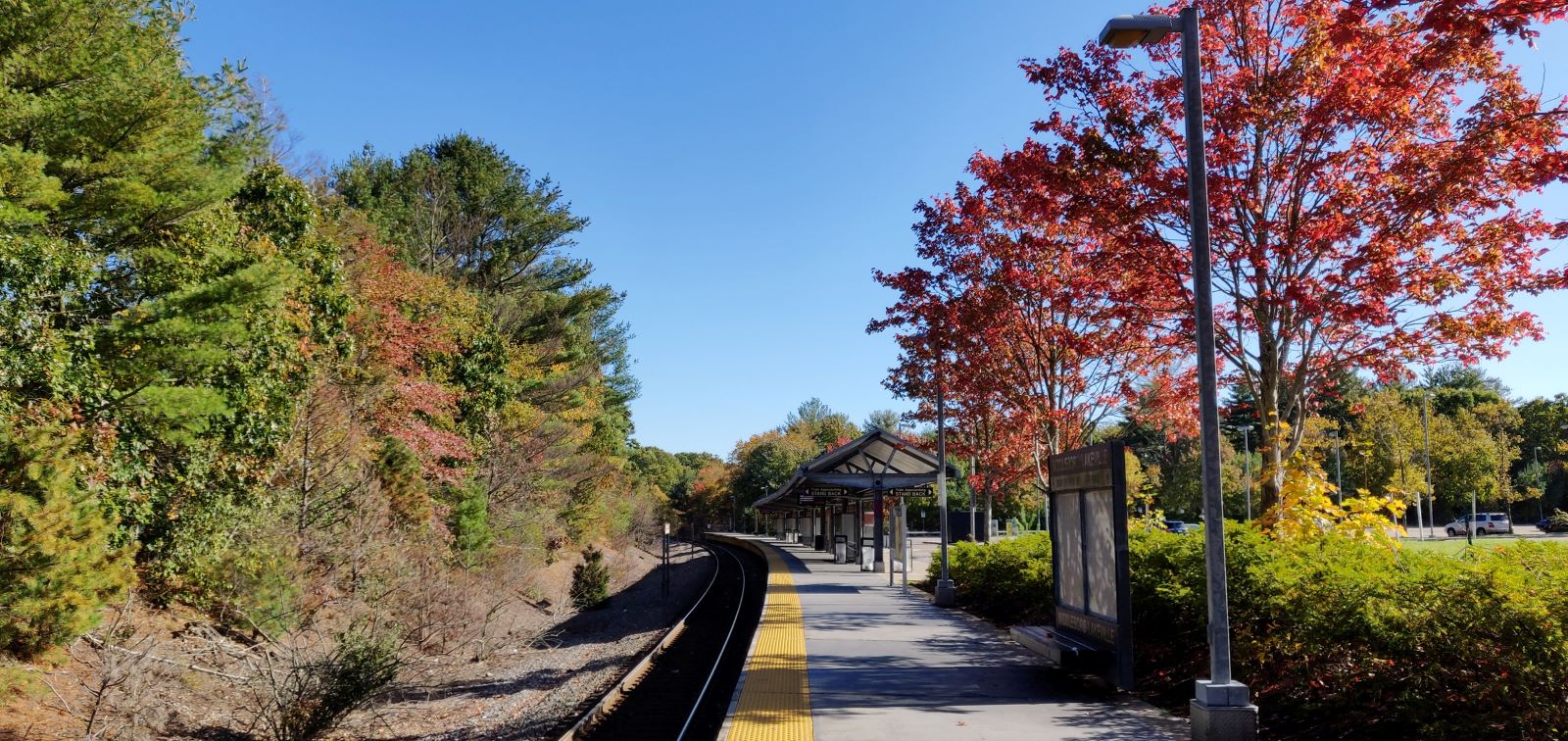 Tree-lined residential street in Middleboro, MA, a small New England town